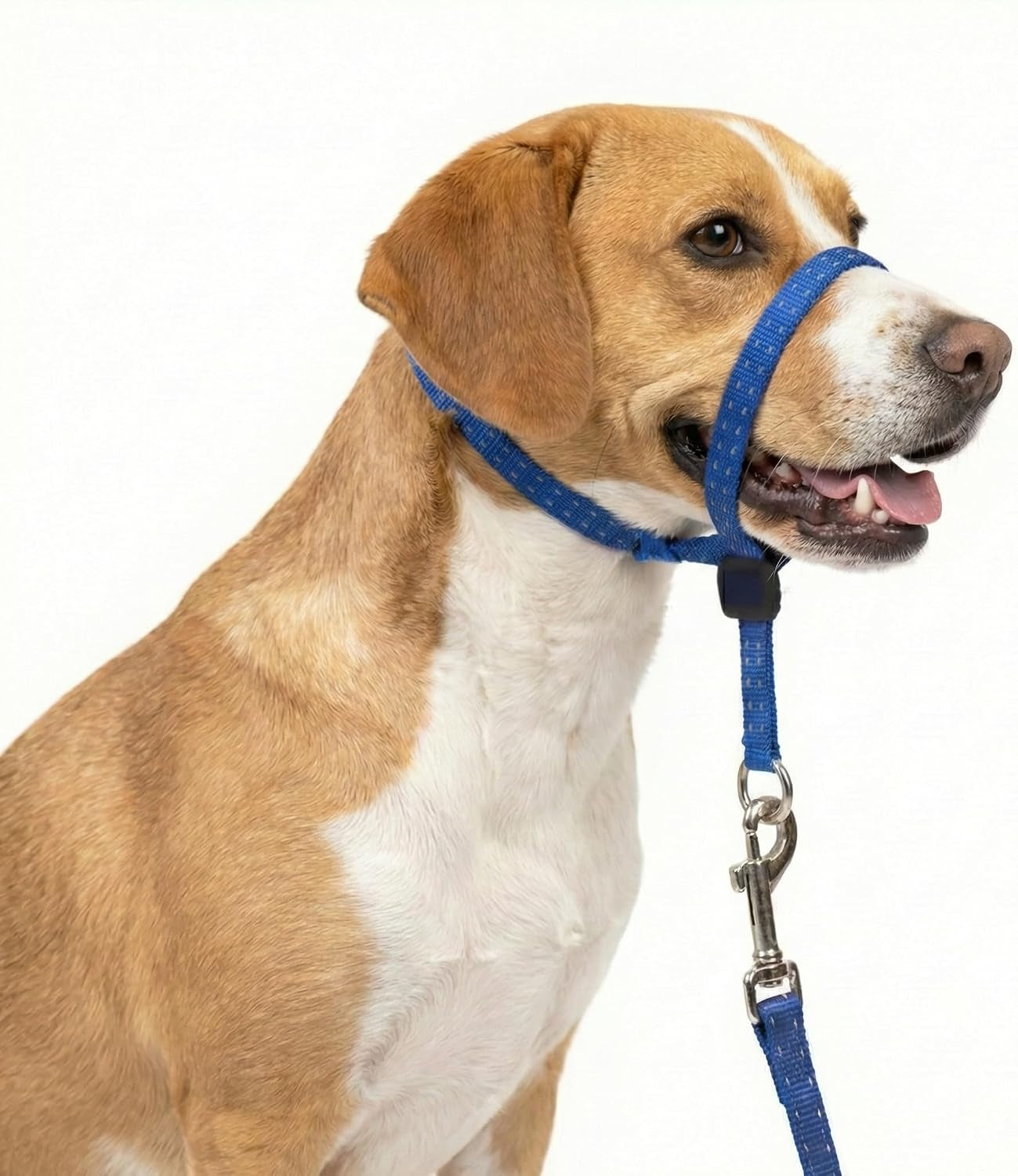 headcollar-for-dogs-extra-soft-padded-reflective-no-pull-dog-collar-gentle-leader-for-dogs-with-durable-nylon-leash-padded-handle-navy-blue-large