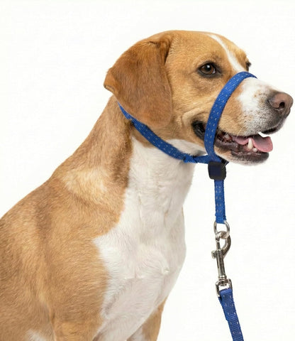 Headcollar for Dogs, Extra Soft Padded, Reflective, No Pull Dog Collar, Gentle Leader for Dogs with Durable Nylon Leash, Padded Handle - Navy Blue (Large)7