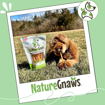 Nature Gnaws USA Turkey Tendons for Dogs (4Oz) - Delicious Grain Free Reward Snack for Small, Medium & Large Breeds - Premium Natural Dog Chew Treats7
