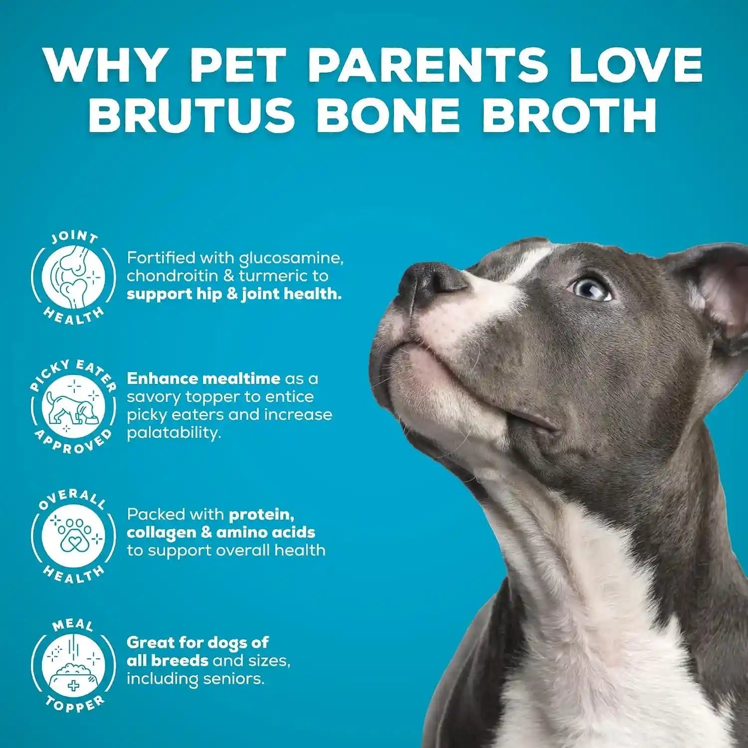 brutus-chicken-broth-liquid-for-dogs-all-natural-chicken-bone-broth-for-dogs-with-chondroitin-glucosamine-turmeric-human-grade-dog-food-toppers-for-picky-eaters-dry-food-tasty-nutritious