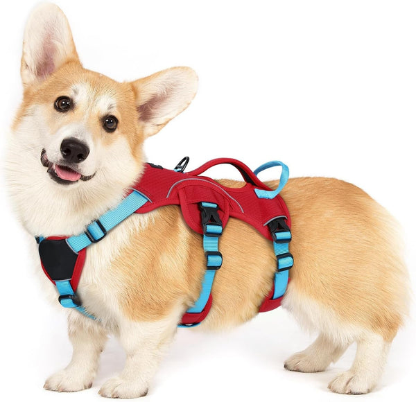 Rabbitgoo Escape Proof Dog Harness for Large, No Pull with Lift Handle | No Escape, Full Soft Padded, Reflective Adjustable Vest, Leash Clip for Walking Hiking Training, Black, Large21