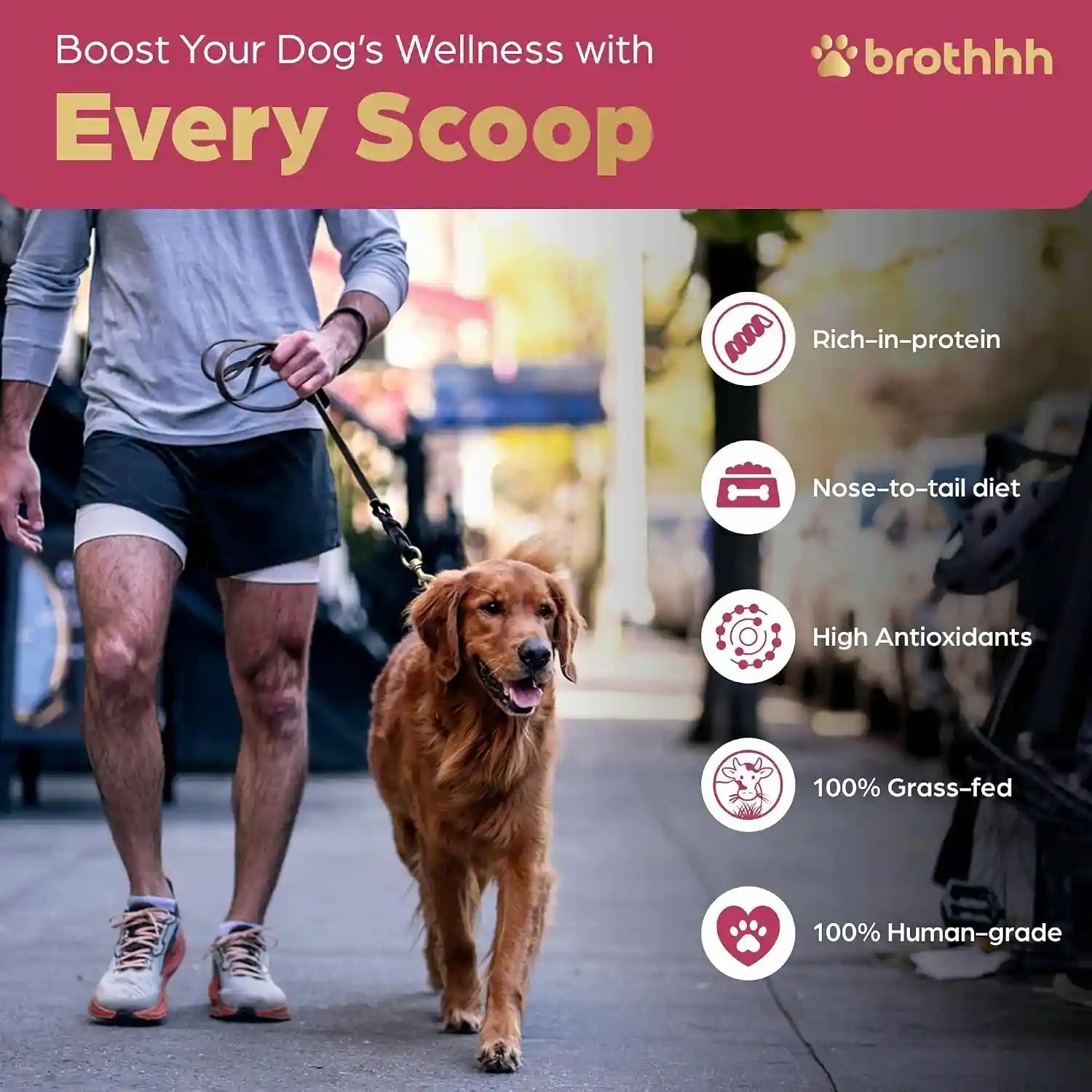 beef-organ-bone-broth-meal-topper-for-dogs-100-grass-fed-veterinarian-approved-non-gmo-by-brothhh-supports-immunity-joint-heart-health-vision-vitality-no-fillers-pet-supplement