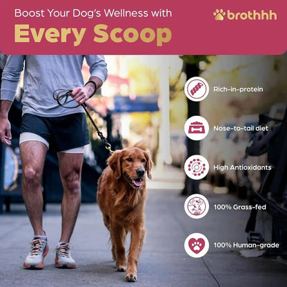 Beef Organ Bone Broth Meal Topper for Dogs - 100% Grass Fed, Veterinarian Approved, Non-Gmo by Brothhh - Supports Immunity, Joint & Heart Health, Vision & Vitality - No Fillers - Pet Supplement6