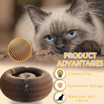 Magic Organ Cat Scratching Board & Accordion Toy - Cat Butler Snuffle Paw Cardboard Slinky2