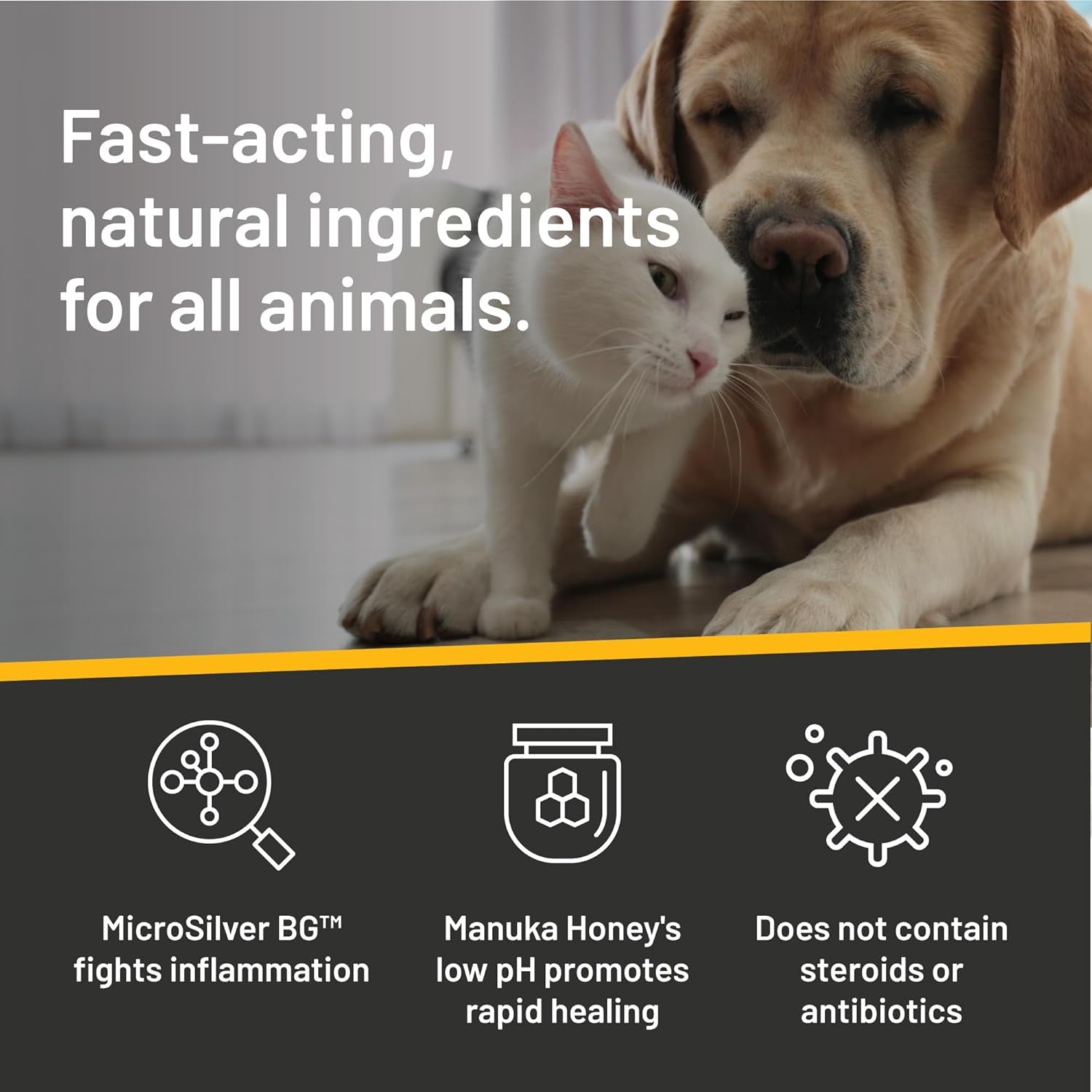 silver-honey-hot-spot-wound-care-pet-first-aid-ointment-2-oz-tube-manuka-honey-microsilver-bg-dog-cat-small-animal-fast-acting-results-at-home-treatment-thick-creamy-antibiotic-free