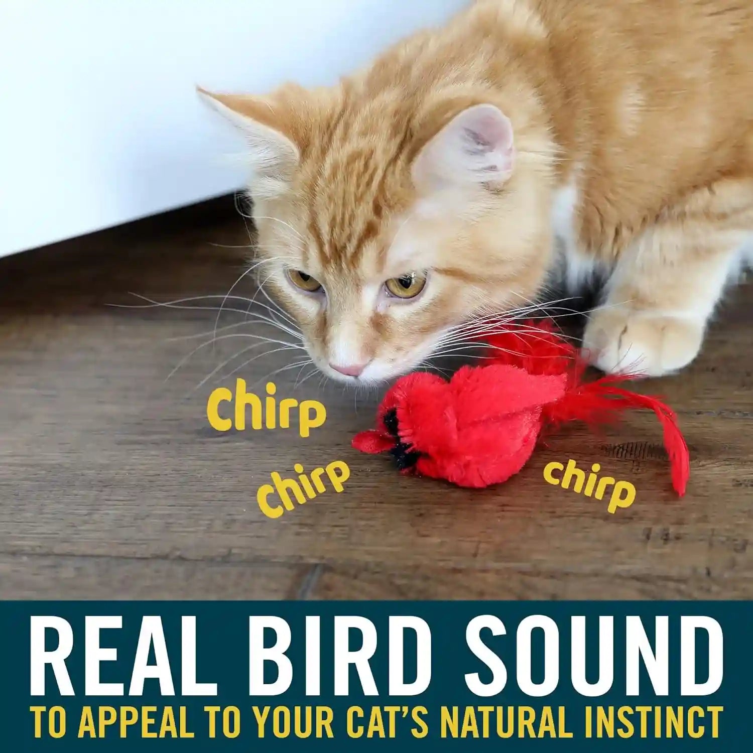 ourpets-play-n-squeak-real-birds-interactive-cat-toys-with-catnip-cat-toys-for-indoor-cats-catnip-toy-for-cats-with-bird-chirping-electronic-sound-and-feather
