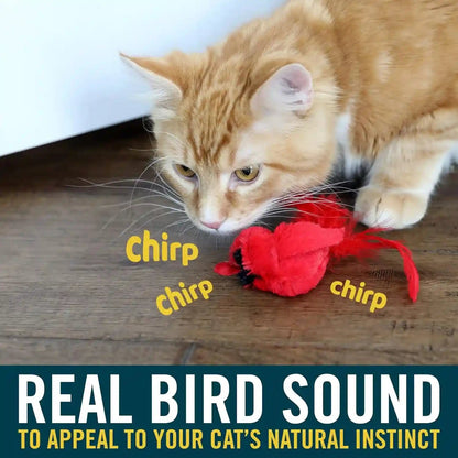 Ourpets Play-N-Squeak Real Birds Interactive Cat Toys with Catnip (Cat Toys for Indoor Cats; Catnip Toy for Cats with Bird Chirping Electronic Sound and Feather)2