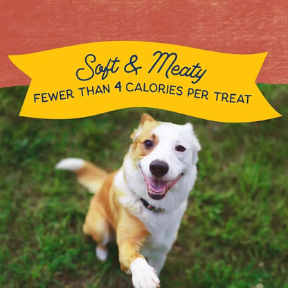 Natural Balance Limited Ingredient Mini-Rewards Salmon Grain-Free Dog Training Treats for Dogs | 5.3 Ounce Canister4