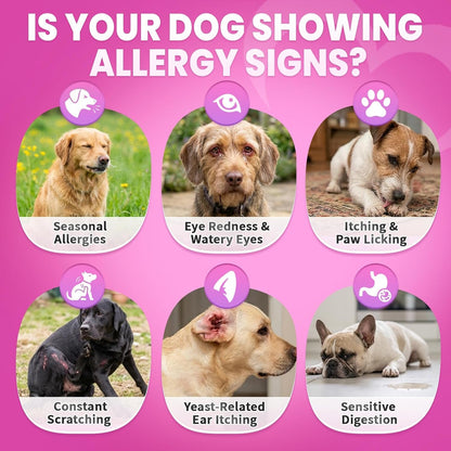 Dog Allergy Chews Itchy Skin Yeast Relief & Immune Support Omega 3-200Ct | Allergy Relief for Dogs with Colostrum & Probiotics for Paw Licking, Hot Spots, Yeast & Seasonal Allergies, Chicken Flavor4