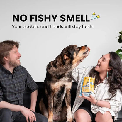 Fish Dog Treats for Skin & Coat, Healthy Soft Chews with Real Pumpkin, Grain Free, Easy to Digest for Training or Rewards for Small, Large Dogs, Natural Ingredients for Sensitive Stomach, Made in USA5