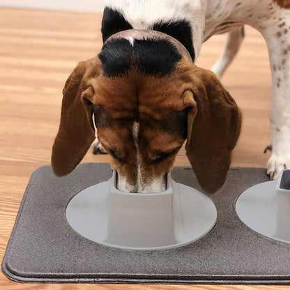 Ear Clear Dog Bowl and Mat Set, No Spill Food and Water Bowls with Mat, Perfect Feeding Tray Set for Long Eared Dog or Breeds, No Mess Dog Bowl 36 Oz Feeder Bowl Set, Hounds, Cocker Spaniels, Setters7
