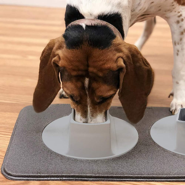 Ear Clear Dog Bowl and Mat Set, No Spill Food and Water Bowls with Mat, Perfect Feeding Tray Set for Long Eared Dog or Breeds, No Mess Dog Bowl 36 Oz Feeder Bowl Set, Hounds, Cocker Spaniels, Setters7
