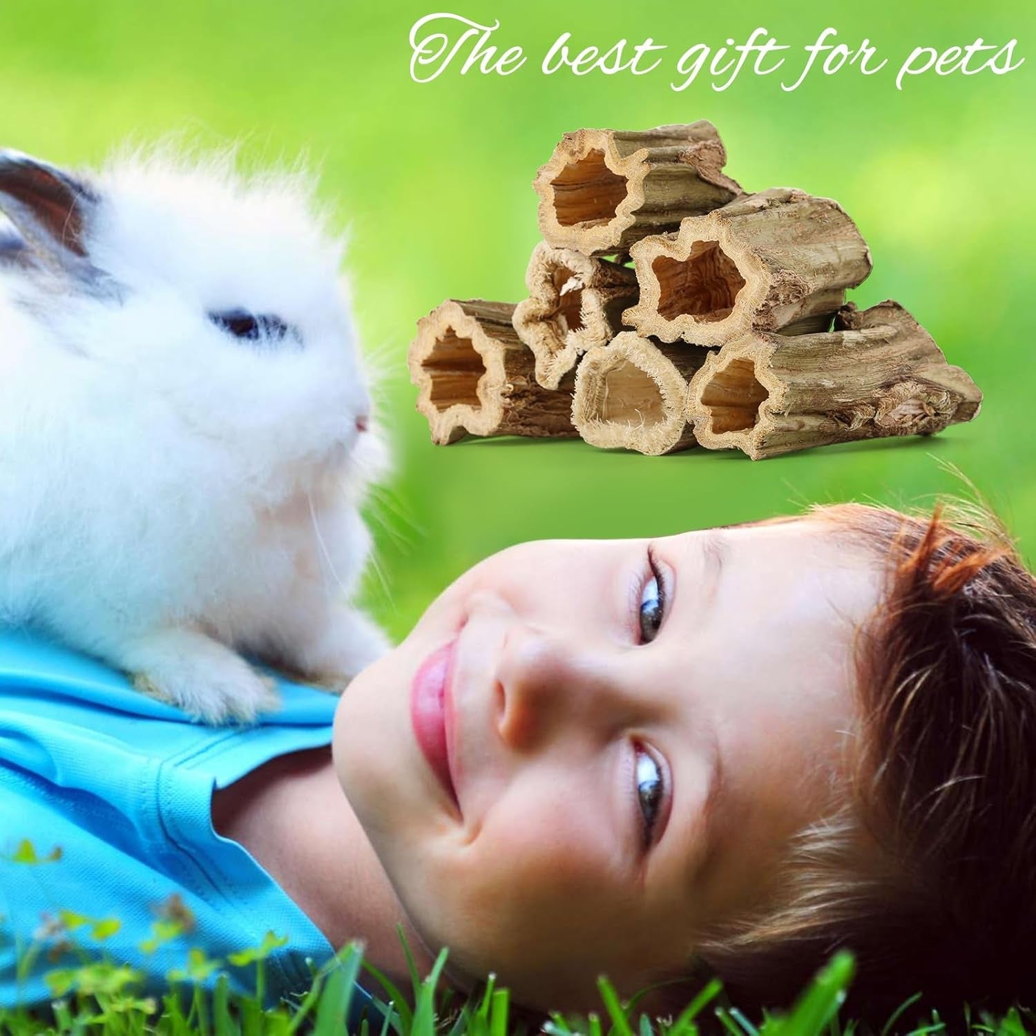 abizoo-natural-bunny-chew-toys-6-pcs-organic-papaya-wood-sticks-chew-toys-for-rabbit-hamster-guinea-pig-chinchilla-gerbil-rat-healthy-chews-teeth-grinding-treats-squirrel-molar-snack
