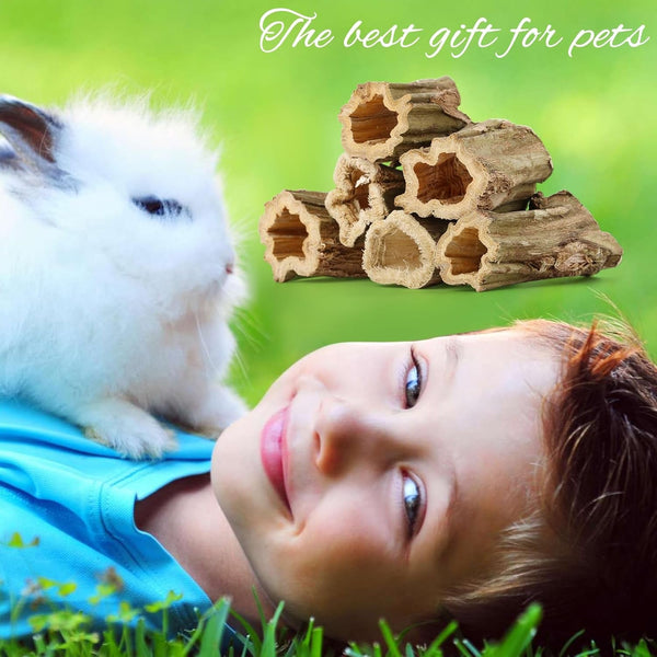 Abizoo Natural Bunny Chew Toys,6 Pcs Organic Papaya Wood Sticks Chew Toys for Rabbit,Hamster,Guinea Pig,Chinchilla,Gerbil,Rat Healthy Chews Teeth Grinding Treats, Squirrel Molar Snack7