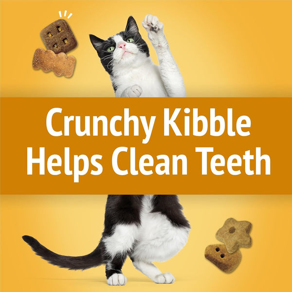 Purina Friskies Cat Treats, Party Mix Cheezy Craze Crunch - 20 Oz. Pouch4