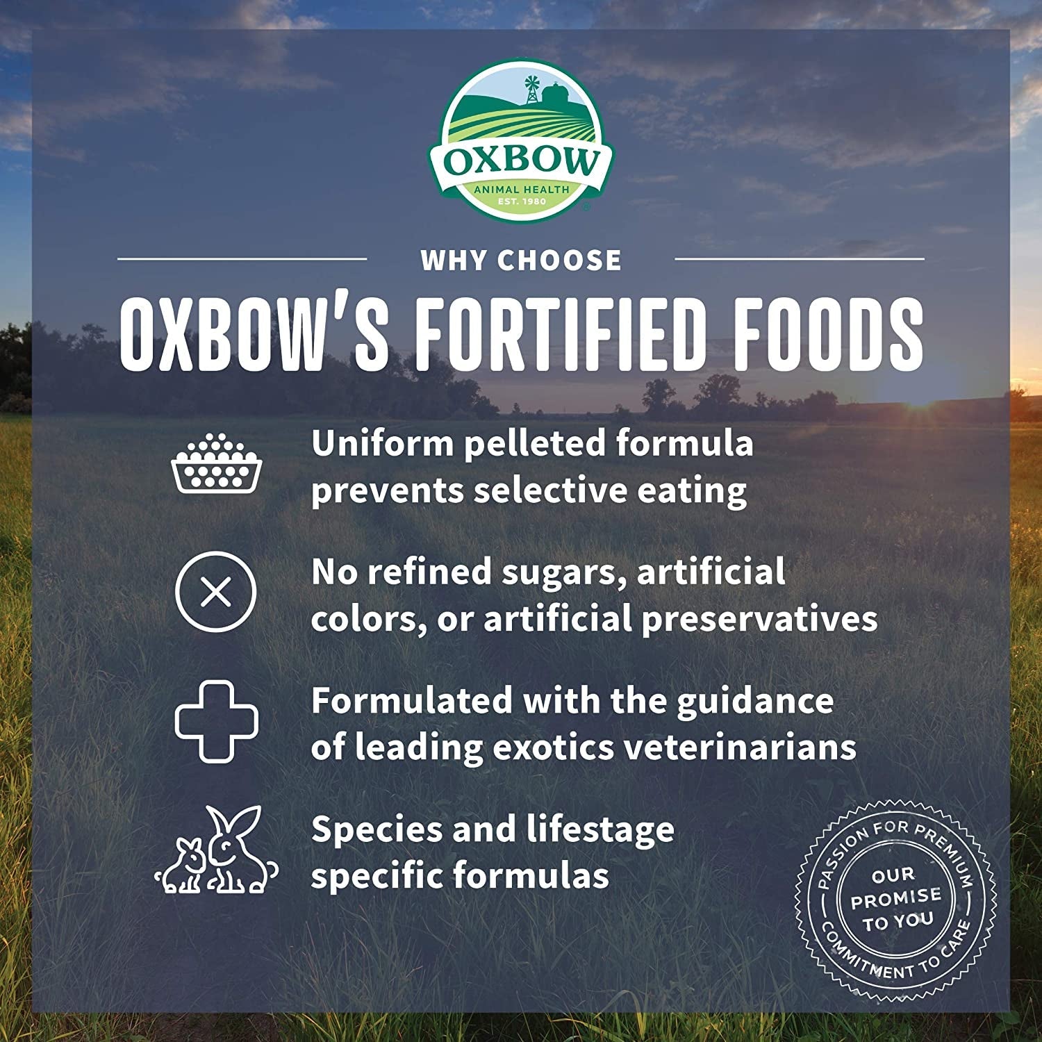 oxbow-garden-select-adult-guinea-pig-food-pellets-with-vitamin-c-8-lb-non-gmo-adult-guinea-pig-pellets-with-timothy-orchard-and-oat-hay-vitamins-and-minerals-high-fiber-made-in-usa