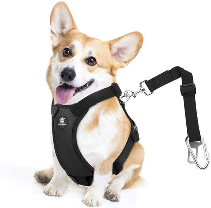 Vavopaw Dog Seat Belt Vest Harness for Car,2 in 1 Seatbelt Buckle | Soft Breathable Mesh,Adjustable Buckle,Nylon,Heavy Duty Pet Safety Seat Belts for Small Medium Large Pets,Black,L17