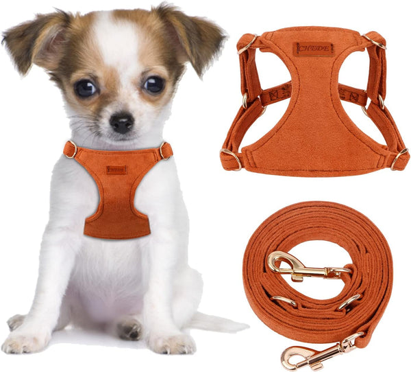 CHEDE No Pull Puppy Harness and Multifunction Dog Leash Set- 8 Colors Soft Adjustable No Choke Escape Proof Cute,Lightweight Pet Vest Harness for Small and Medium Dog…24