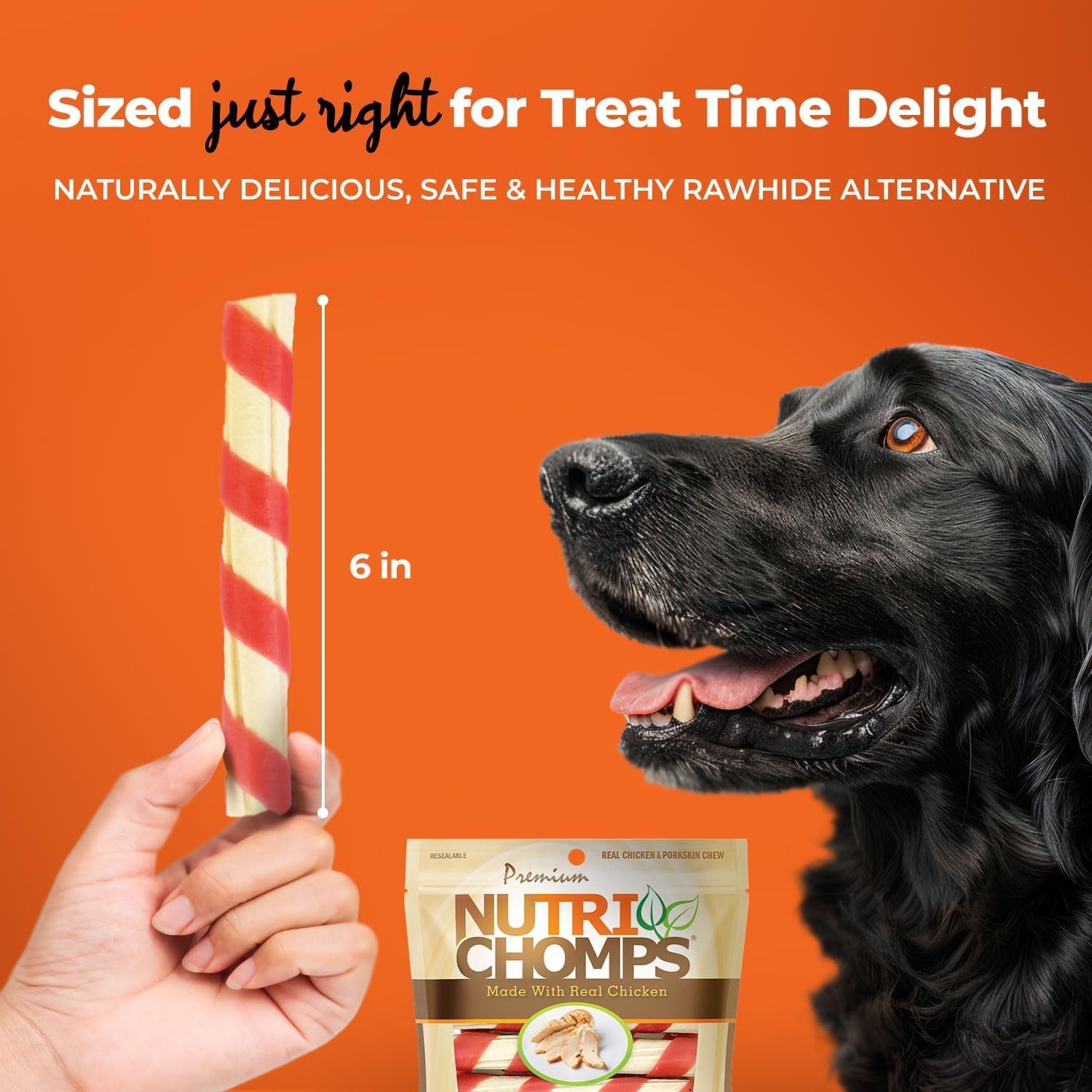 nutrichomps-dog-chews-6-inch-twists-easy-to-digest-long-lasting-rawhide-free-dog-treats-15-count-real-chicken-flavor-a-rawhide-free-chew-thats-gentle-and-easy-to-digest-made-with-the-real-wholesome-ingredients-dogs-love