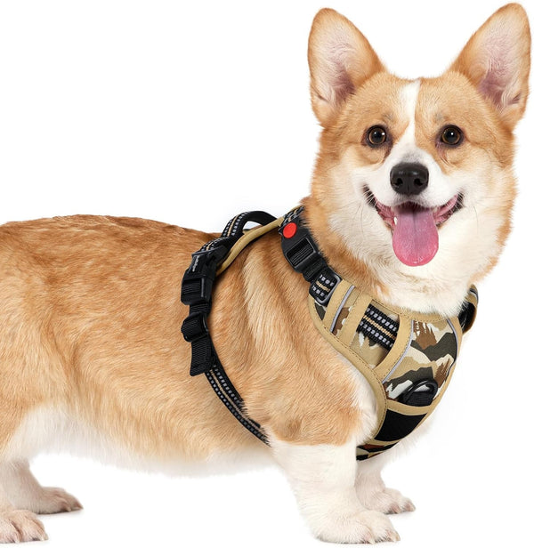 Rabbitgoo Dog Harness Medium Sized, Updated Easy on & off with 3 Buckles | No Pull No Choke, Walking with 2 Clips and Handle, Adjustable Soft Reflective, Blue, Medium63