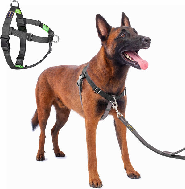 Freedom No Pull Dog Harness, Purple, Large | Designed for Hound Dog Train, Easy Walk with 2 Stainless D-Rings, Sewn-In Instructions Tags, 60-80 Lbs15