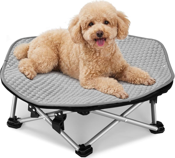 Pecute Raised Dog Bed with Cooling Mat, Elevated Pet Cot for Small Dogs, M | Breathable Textilene Mesh, Outdoor Camping & Beach, Steel Frame,130 Lbs Heavy Duty Support, Tool-Free 3-Second Quick Assembly1