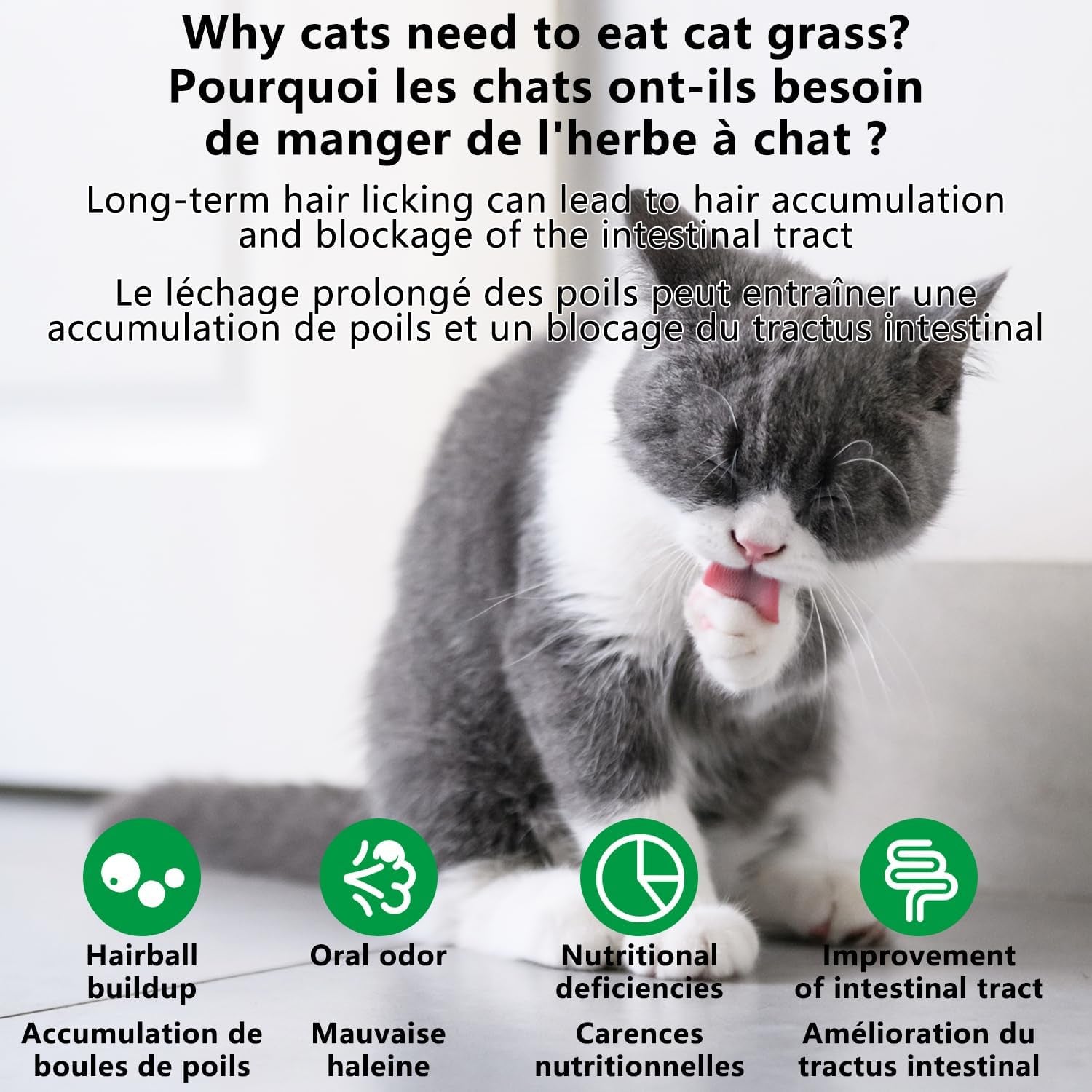 20pcs-cat-grass-stick-snacks-100g-freeze-dried-snacks-catnip-for-cat-dental-care-and-hairball-removal-pampering-gastrointestinal-system