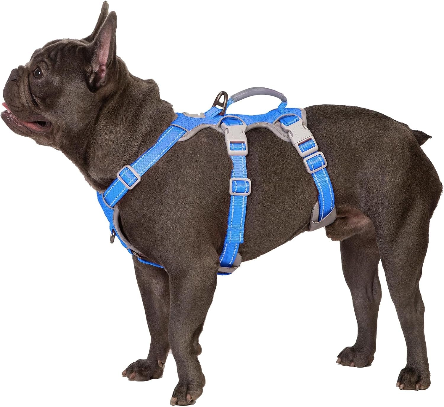 huntboo-escape-proof-harness-no-slip-dog-harness-escape-proof-fully-reflective-harness-with-handle-breathable-durable-adjustable-vest-for-medium-dogs-walking-and-training-gear-black-m