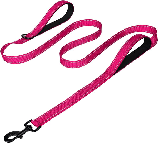 Joytale Reflective Dog Leash for Medium & Large Dogs, 6 FT X 1", Black | Heavy Duty Nylon Webbing, Padded Handle for Comfort, Visible at Night, for Walking & Training26