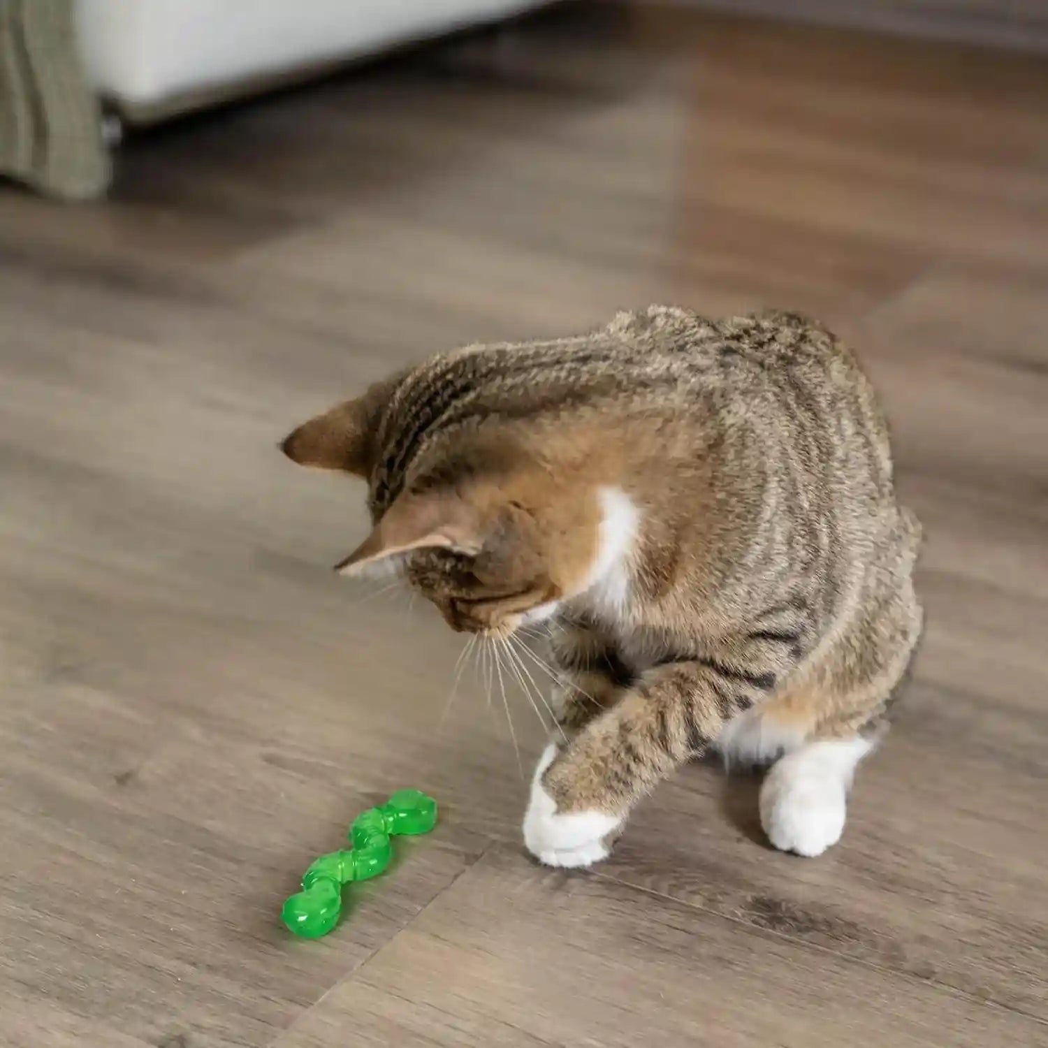 petstages-orkakat-wiggle-worm-dental-catnip-cat-chew-toy