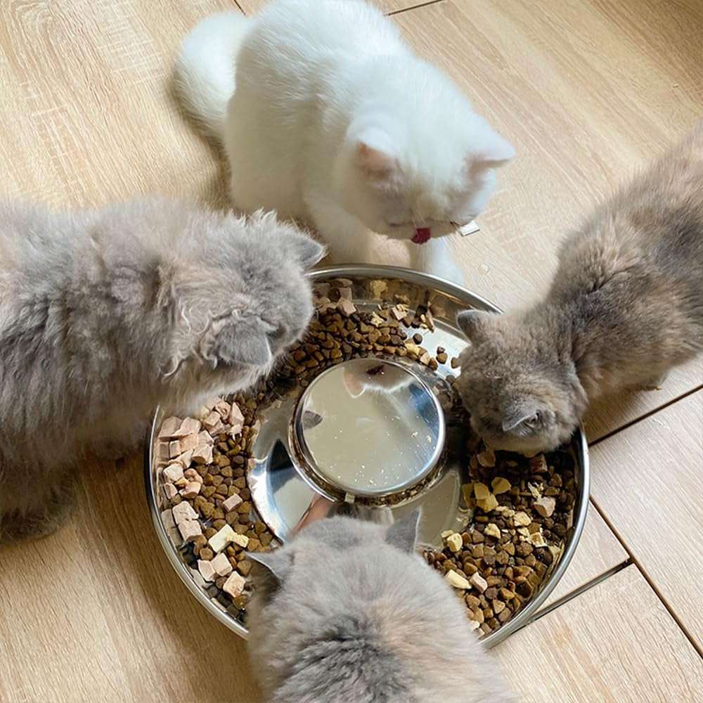 stainless-steel-puppy-bowls-2-pack-pet-slow-feeder-bowls-water-bowl-feeding-weaning-for-small-medium-large-dogs-cat-pets-2-pack-large-1-3-x-13-6