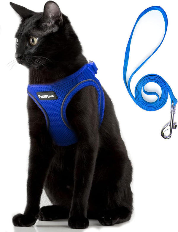 Small Dog Harness and Leash Set Breathable Step-In Puppy Cat Harness,Xs | Reflective for Safe Easy Walking,Soft Light Puppy Vest,Escape Proof,No Pull Harness for Dogs,All Weather Air Mesh Harness16