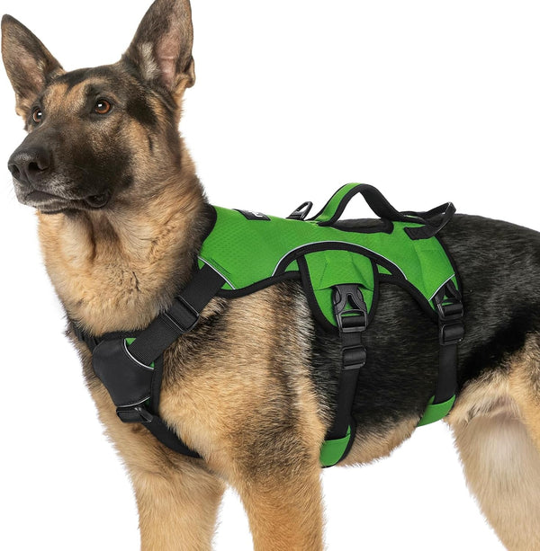 Rabbitgoo Escape Proof Dog Harness for Large, No Pull with Lift Handle | No Escape, Full Soft Padded, Reflective Adjustable Vest, Leash Clip for Walking Hiking Training, Black, Large38