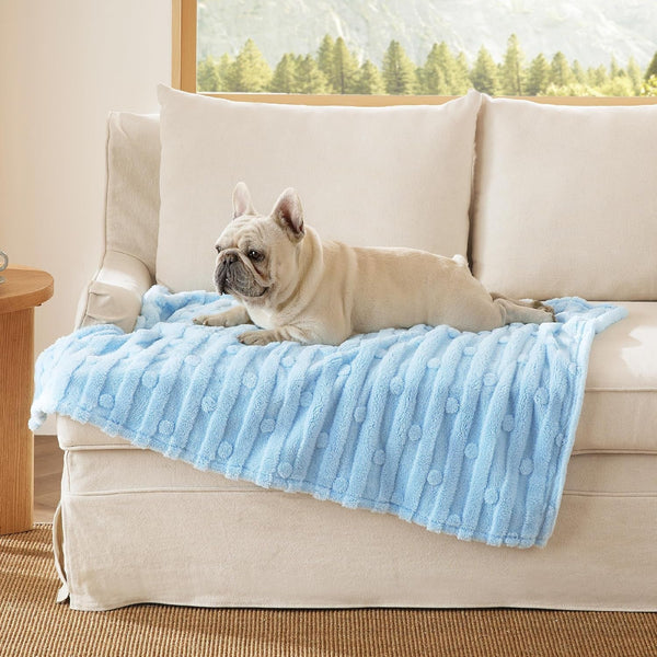 Bedsure Dog Blanket for Small Dogs Puppy Cats with Soft Fleece 25X35 White | 300GSM Fuzzy Jacquard Doggy Kitten Blanket Washable for Crate Cage, Pet Bed, Indoor Cats, Puppy Essentials, Cute Dog Gift16