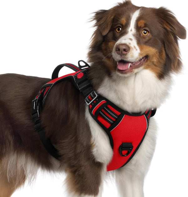 Rabbitgoo Large Dog Harness, Easy Wear with 3 Buckles and Lift Handle | No Pull with Front Clip for Walking, Adjustable Soft Padded, Reflective, Easy Control, Pink, Large39