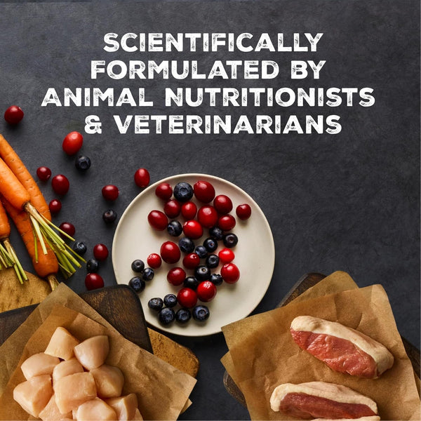 Blue Buffalo Wilderness Variety Pack Adult Paté Wet Cat Food, 3 Oz, 12 Ct | Chicken, Salmon, and Duck Patés (4 of Each), High Protein & Grain-Free Recipes, Supports Daily Hydration8