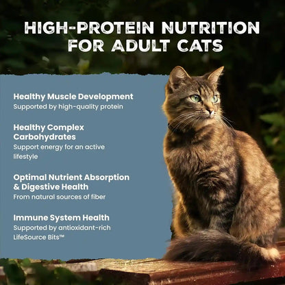 Blue Buffalo Wilderness with Salmon Natural High-Protein Grain-Free Dry Food for Adult Cats, Real Salmon First, Antioxidant-Rich Lifesource Bits Support Immunity, Promotes Strong Muscles, 5 Lbs.3