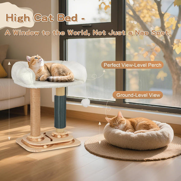 Cat Scratching Post with Bed, 4-In-1 Small Cat Tree Tower | Sisal Scratcher, Elevated Washable Bed, Track Ball Toy, Built-In Self-Groomer6