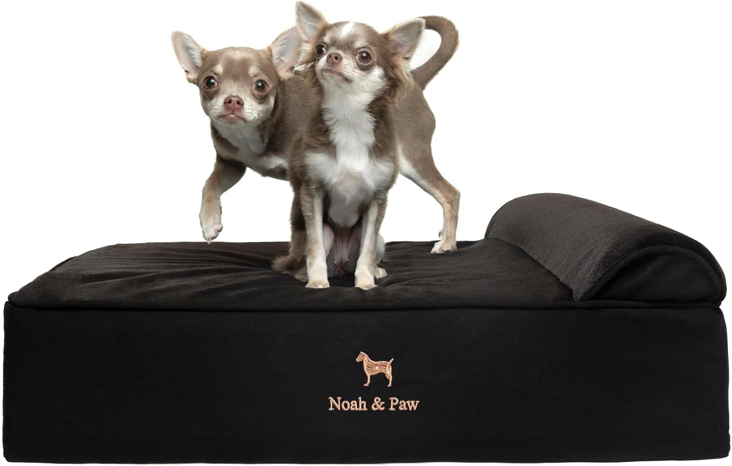 noah-paw-large-dog-bed-35x25x8-7-inch-orthopedic-dog-beds-eggshell-memory-foam-infused-with-cooling-gel-water-resistant-machine-washable-includes-inner-cover-velvet-collection