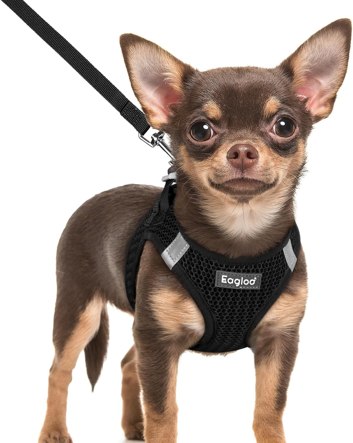 eagloo-small-dog-harness-and-leash-set-step-in-small-sized-puppy-pet-vest-light-soft-breathable-air-mesh-easy-on-and-off-with-hook-loop-reflective-for-safe-walking-pink-s