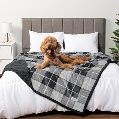 Petami Waterproof Dog Blanket for Couch, Extra Large 80X60, Pee Proof Sherpa Fleece Reversible Pet Throw, Furniture Protector for Bed Sofa Crate Kennel, Soft Washable Cover for Dog Cat, Grey Sherpa25
