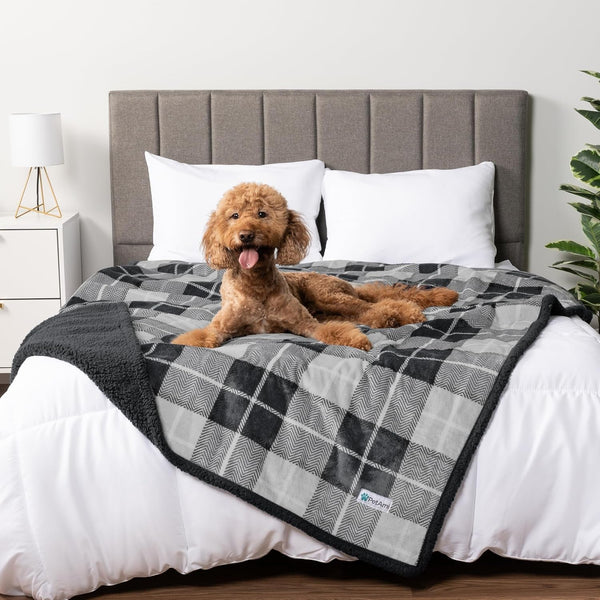 Petami Waterproof Dog Blanket for Couch, Extra Large 80X60, Pee Proof Sherpa Fleece Reversible Pet Throw, Furniture Protector for Bed Sofa Crate Kennel, Soft Washable Cover for Dog Cat, Grey Sherpa25