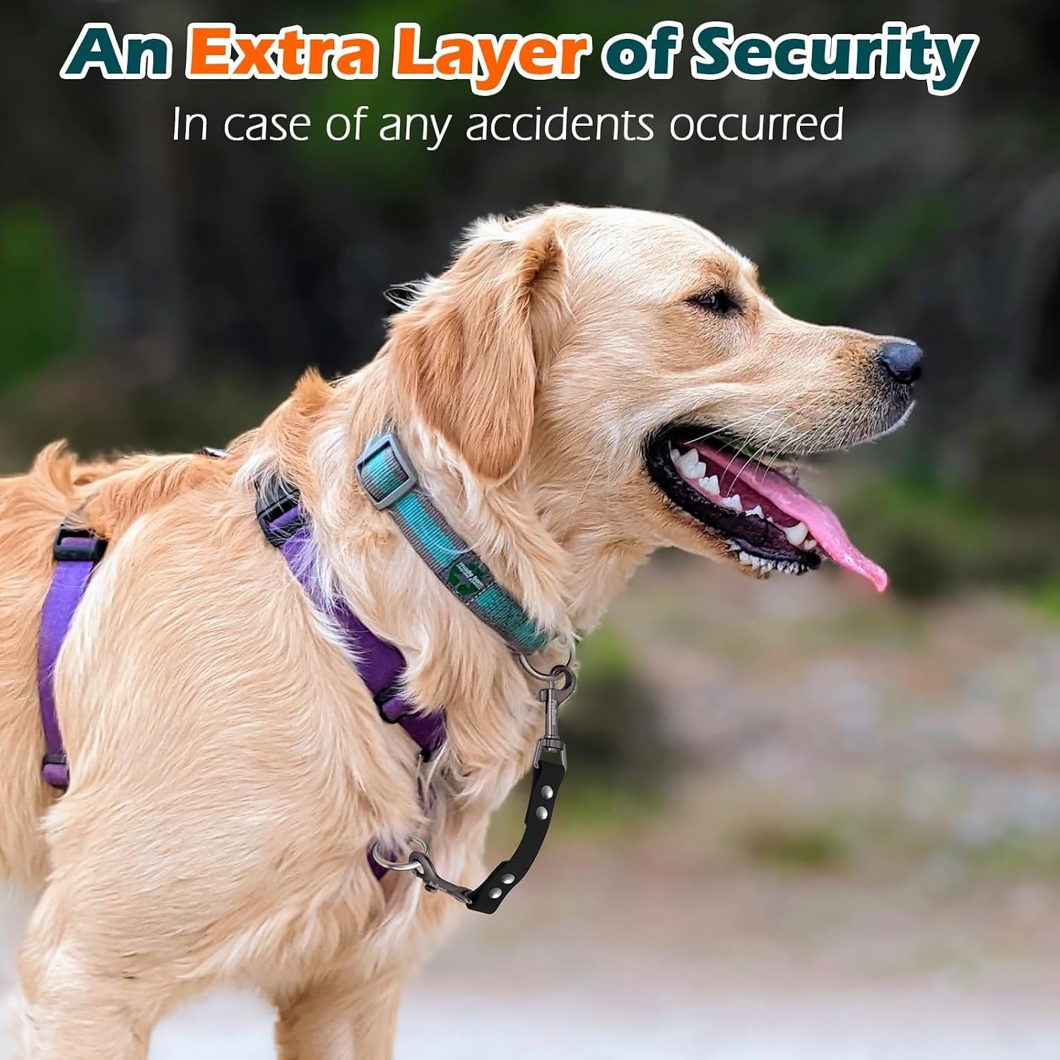 petbonus-waterproof-dog-collar-safety-clip-odor-proof-backup-safety-clip-for-harness-prong-standard-collars-heavy-duty-double-ended-clasp-durable-dog-leash-connector-for-training-walking-black