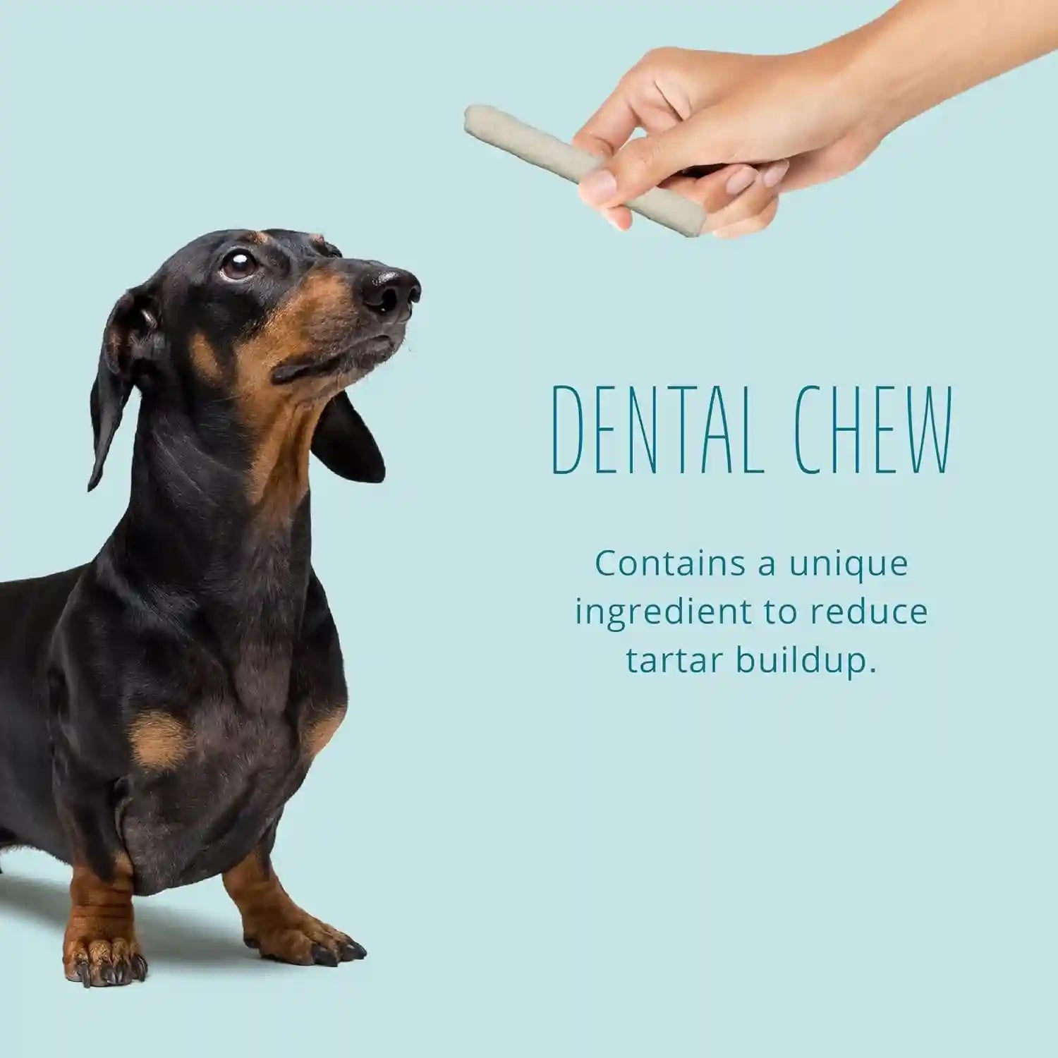 better-belly-highly-digestible-rawhide-dental-chews-treat-your-dog-to-a-chew-with-no-artificial-colors-or-flavors-10-count