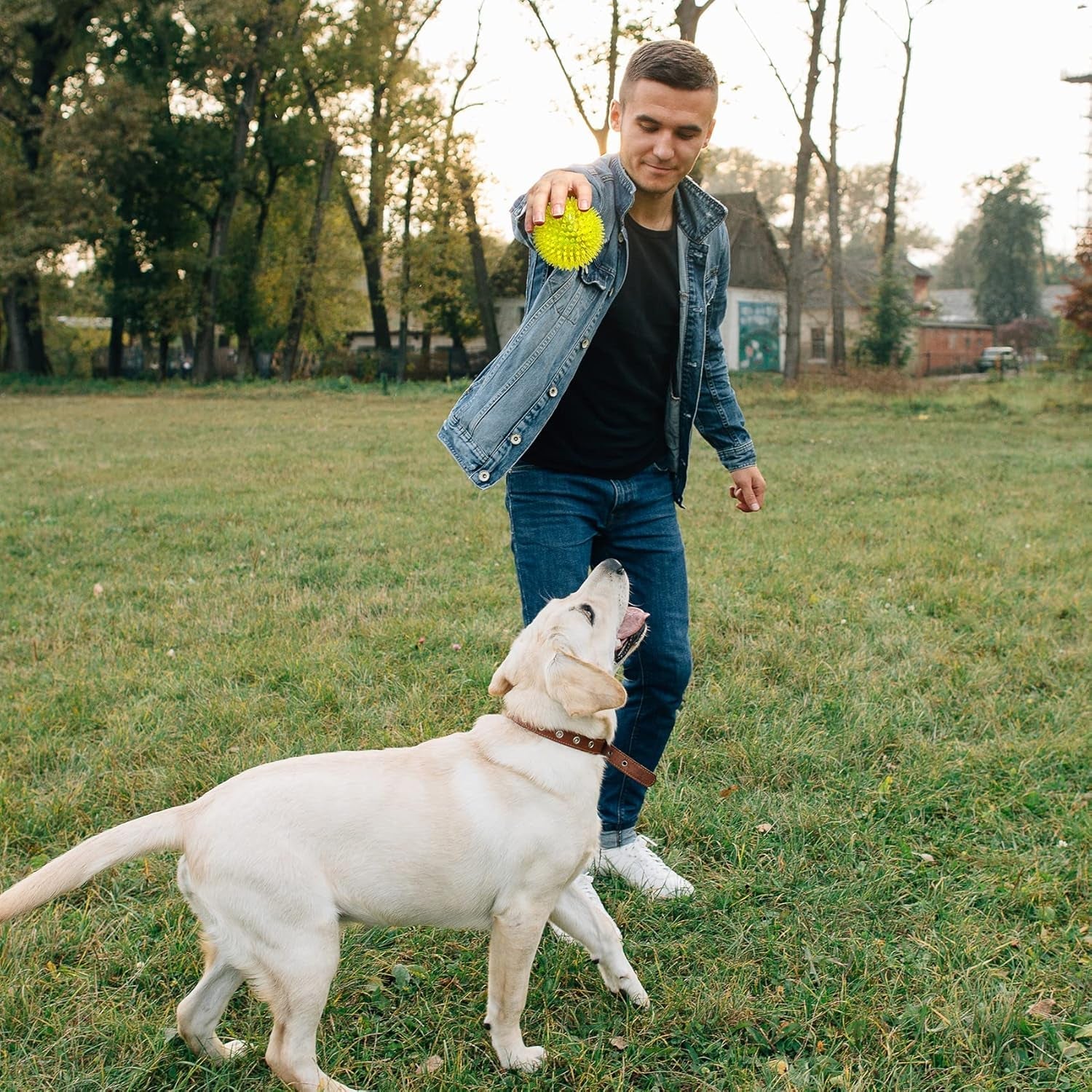 vitever-3-5-squeaky-dog-toy-balls-6-colors-puppy-chew-toys-for-teething-bpa-free-non-toxic-spikey-dog-balls-for-medium-large-small-dogs-durable-toys-for-aggressive-chewers