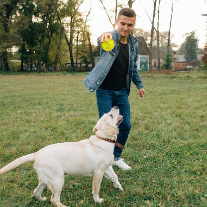 VITEVER 3.5” Squeaky Dog Toy Balls (6 Colors) Puppy Chew Toys for Teething, BPA Free Non-Toxic, Spikey Dog Balls for Medium, Large & Small Dogs, Durable Toys for Aggressive Chewers7