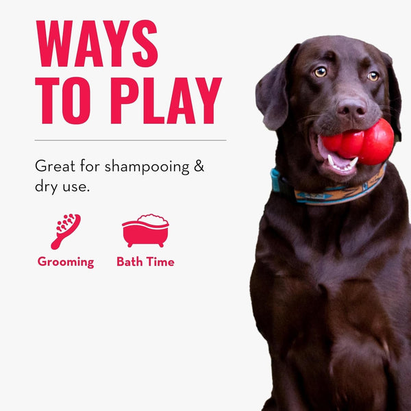 KONG - Zoomgroom - Dog Brush for Grooming and Shampooing - Red Brush for Large Dogs4