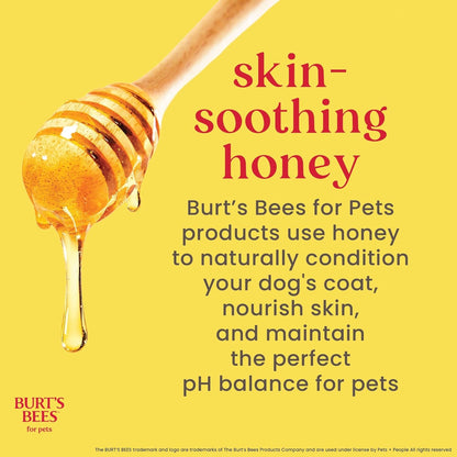 Burts Bees for Pets Oatmeal Dog Conditioner, Fragrance-Free, 10 Fl Oz | Colloidal Oat Flour and Honey Moisturize and Soften Dry Coats; Ph-Balanced, 95% Natural Origin3