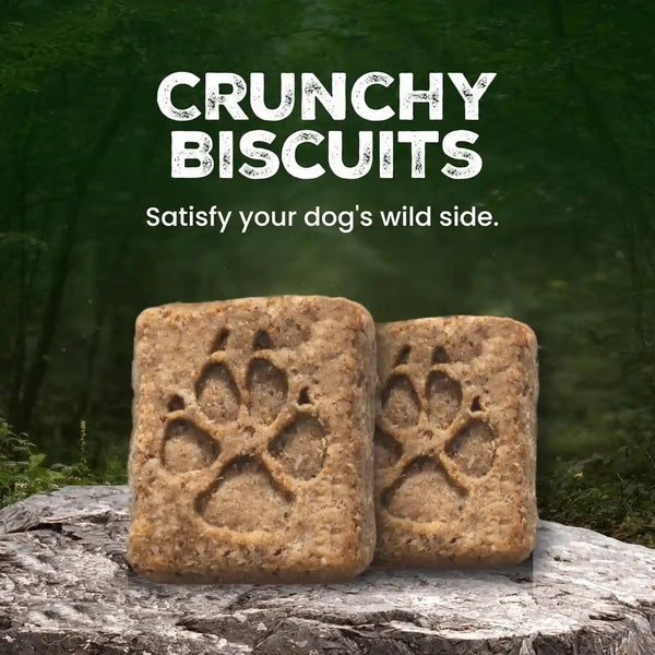 Blue Buffalo Wilderness Trail Treats Salmon Crunchy Dog Biscuits, Grain-Free & High-Protein, Bite-Sized Training Treats Made with Real Salmon & Natural Ingredients, 24-Oz Bag6