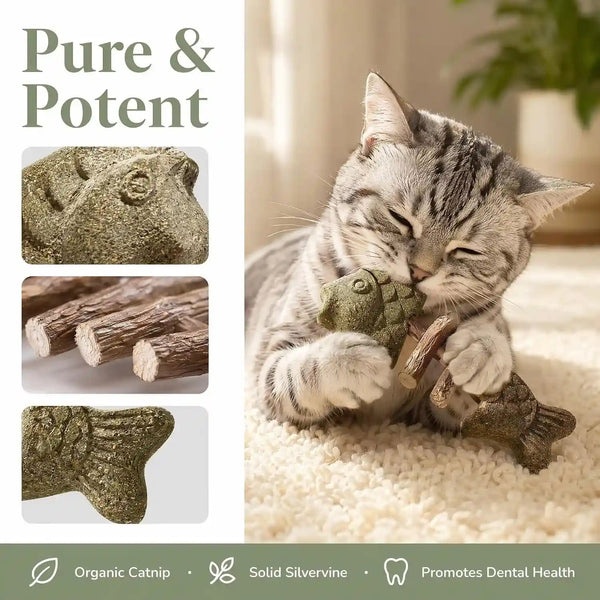 Sterling Whiskers Cat Chew Stick, Catnip & Silvervine Fishbone Toy, 2 PCS | Natural Catnip & Silvervine, Fishbone Texture, Chewing Enrichment, Oral Care Support, Indoor Cat Toy3